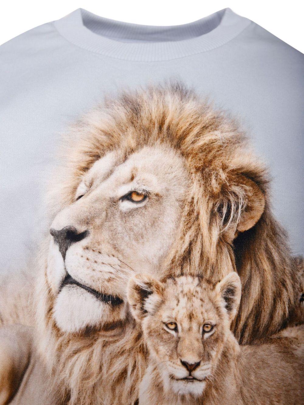 Felpa per bambino Molo azzurra Miksi con stampa leone e orlo e polsini a coste - Rubino Kids