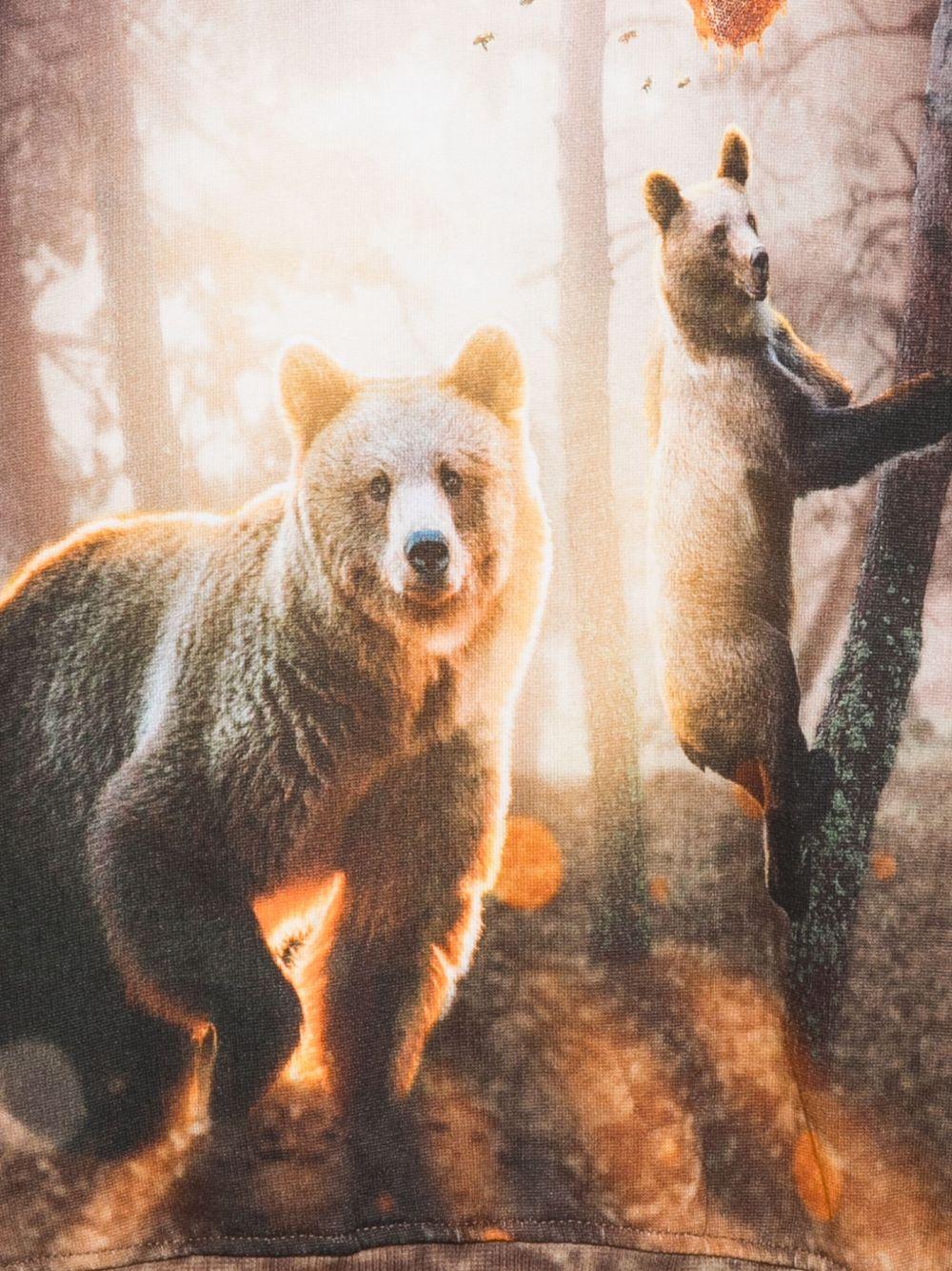 Felpa per bambino Molo marrone con stampa orso - Rubino Kids