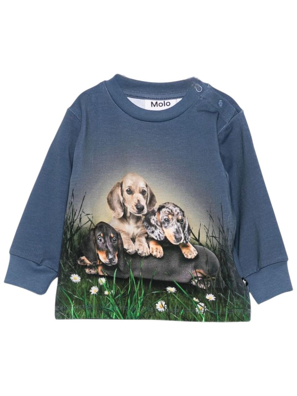 Felpa per neonato Molo blu con stampa cane - Rubino Kids
