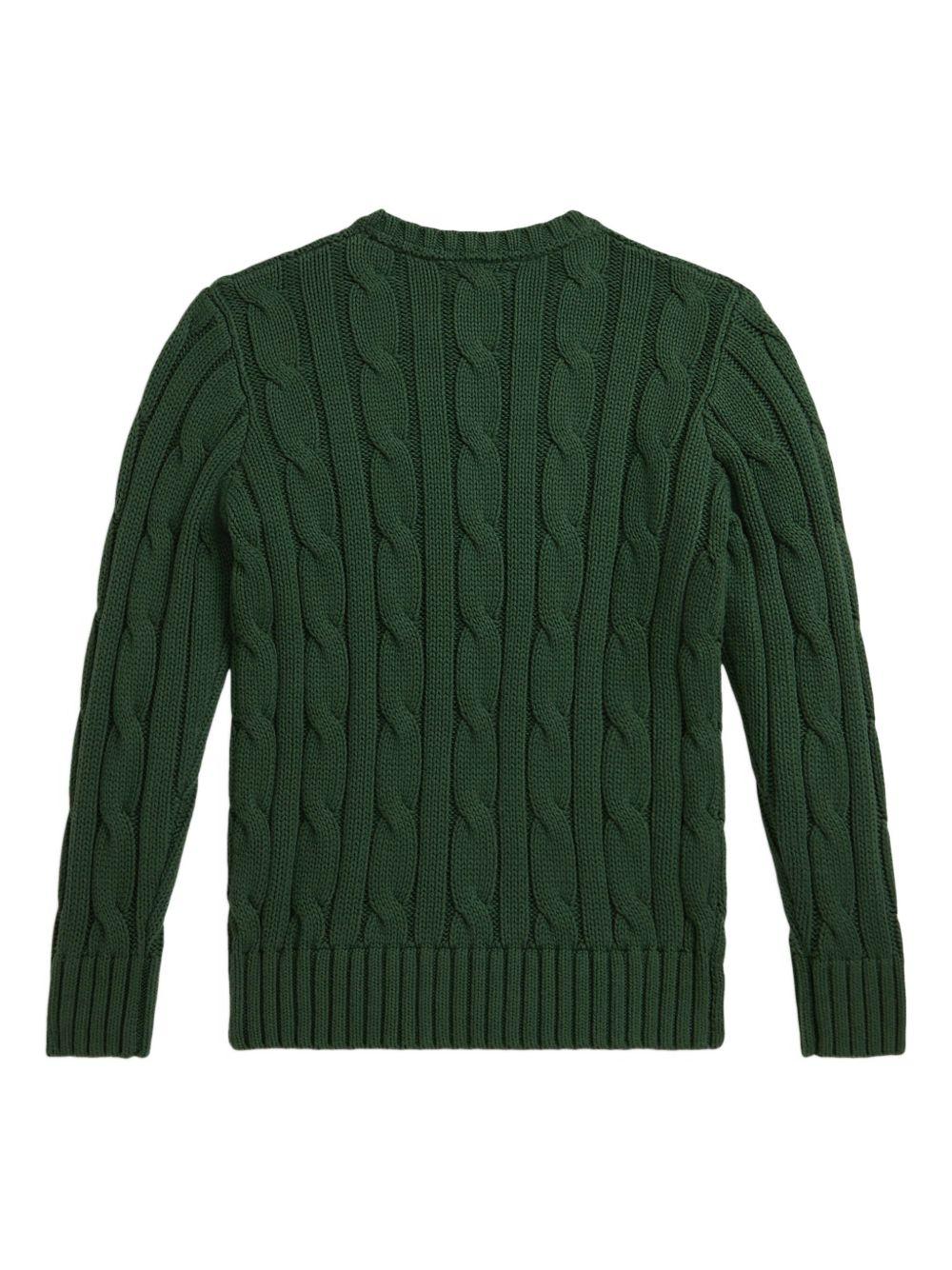 Maglione per bambino Polo Ralph Lauren Kids verde con logo ricamato Polo Pony - Rubino Kids