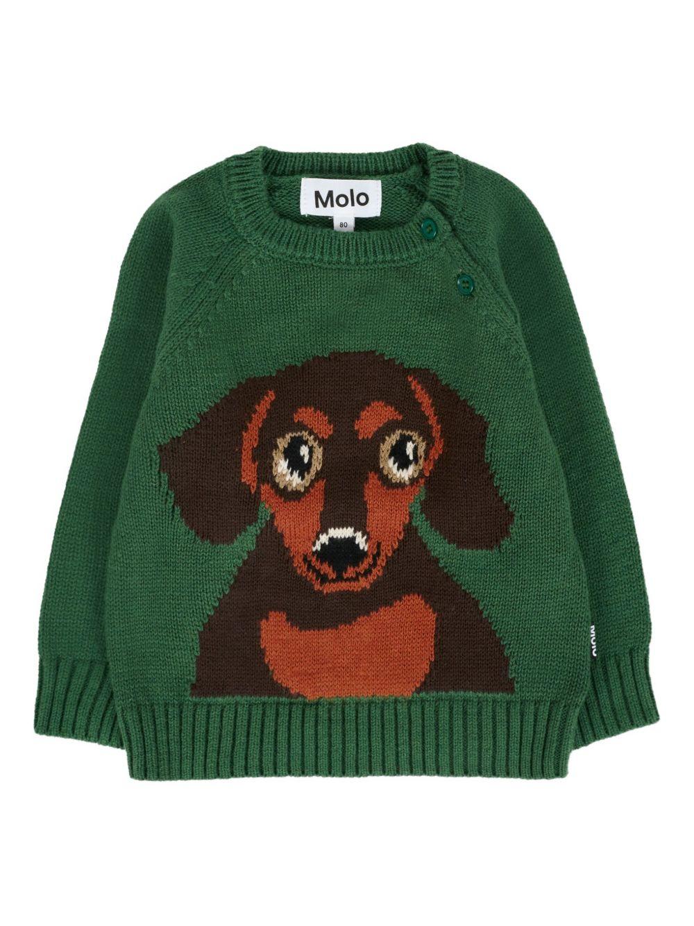 Maglione per neonato Molo verde con bassotto ricamato - Rubino Kids