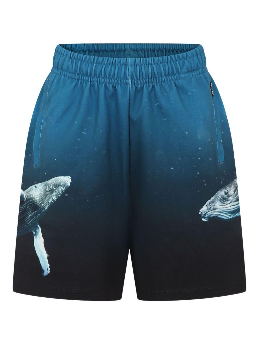Shorts per bambino Molo blu con stampa grafica - Rubino Kids