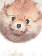 Felpa per bambina Molo beige con stampa sul davanti - Rubino Kids