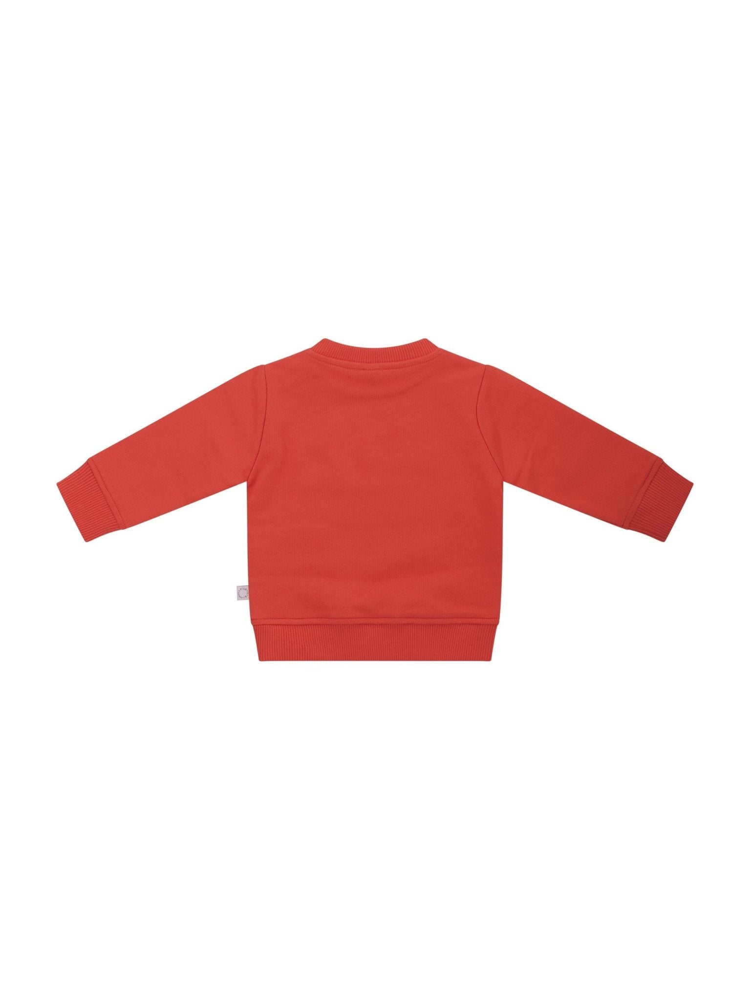 Felpa per bambina Stella McCartney Kids rossa con stampa fiore sul davanti - Rubino Kids