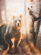 Felpa per bambino Molo marrone con stampa orso - Rubino Kids