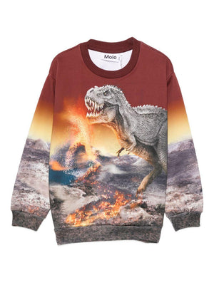 Molo multicolored dinosaur print sweatshirt for children