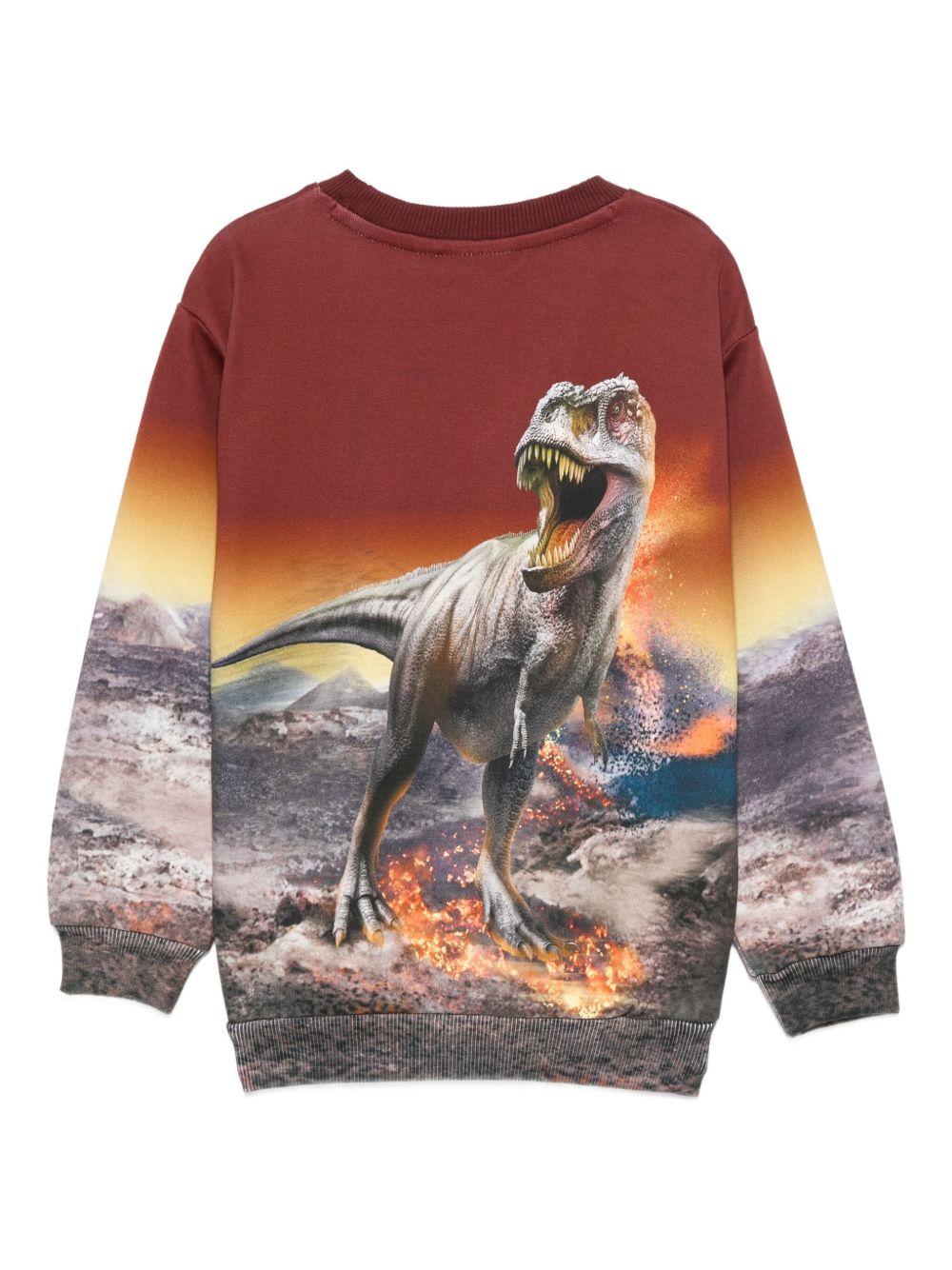 Felpa per bambino Molo multicolore con stampa dinosauro - Rubino Kids