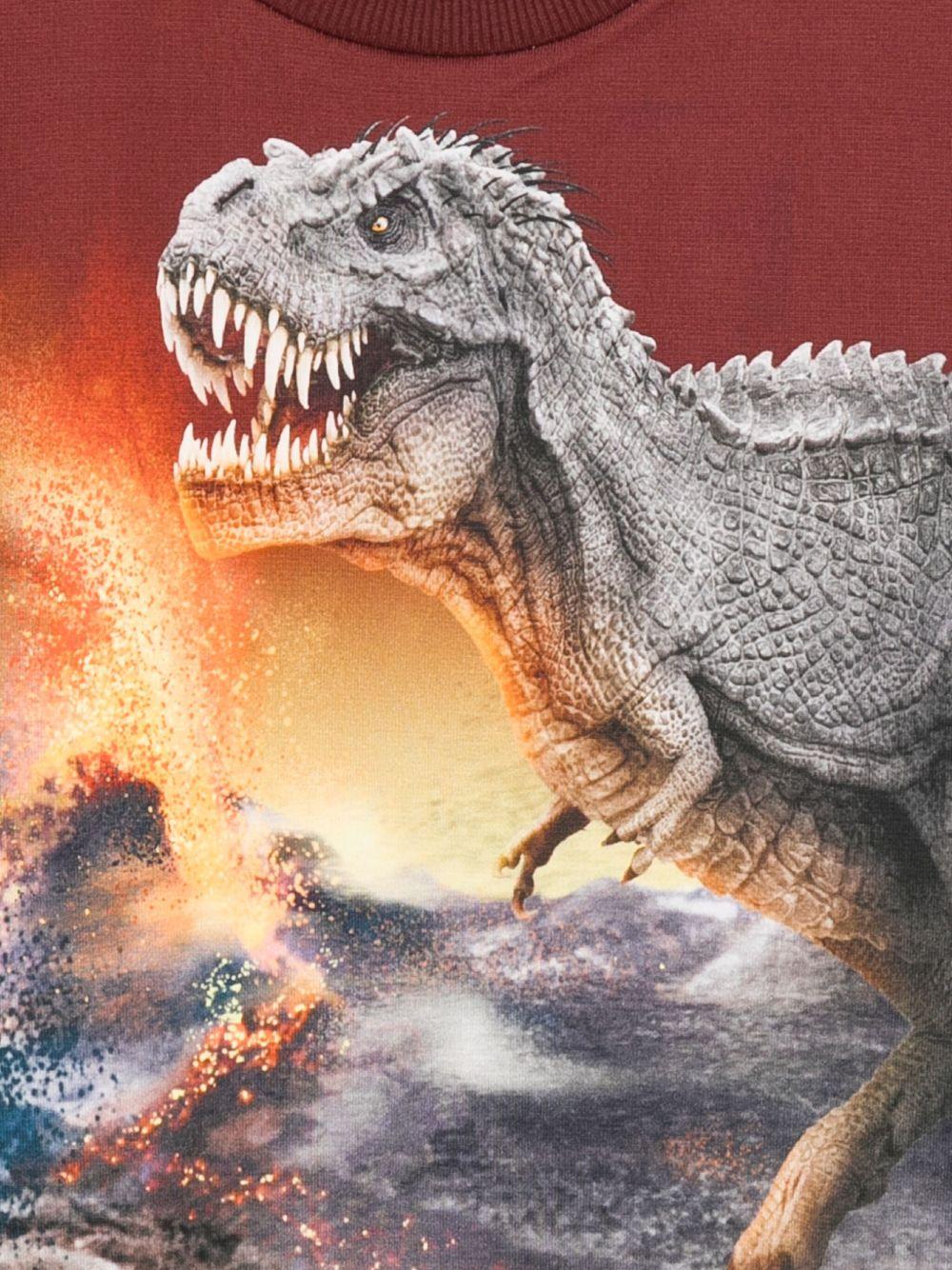 Felpa per bambino Molo multicolore con stampa dinosauro - Rubino Kids