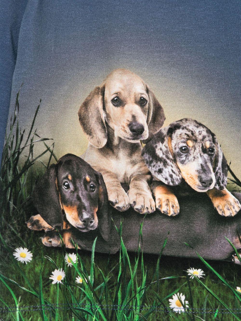 Felpa per neonato Molo blu con stampa cane - Rubino Kids