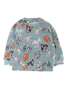 Felpa per neonato Molo verde Disc con stampa grafica all - over e maniche lunghe raglan - Rubino Kids