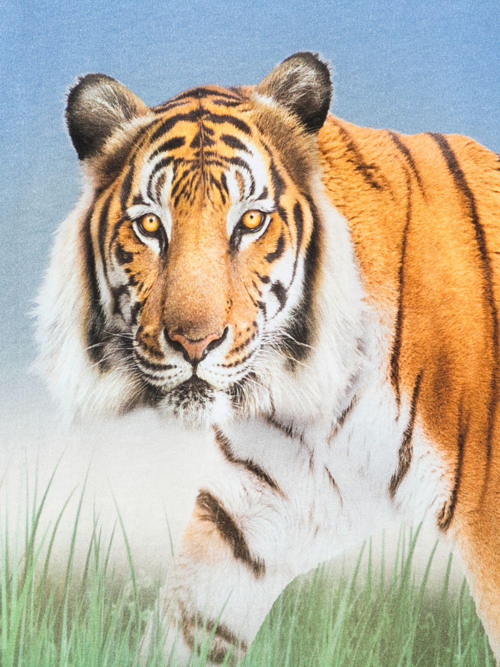 T-shirt Rubin per bambino Molo multicolor con stampa tigre 1S26A217 9862 MOLO 