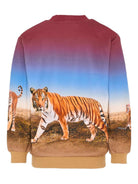 Felpa Mixi per bambino Molo multicolor con stampa tigri 1S26J205 9861 MOLO 