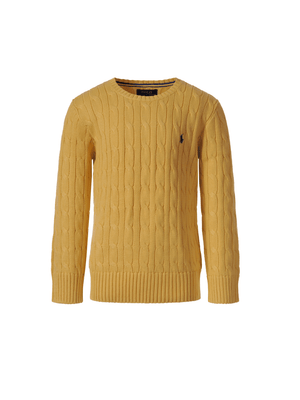 Polo Ralph Lauren Kids yellow sweater for boys with Polo Pony logo embroidery on the front