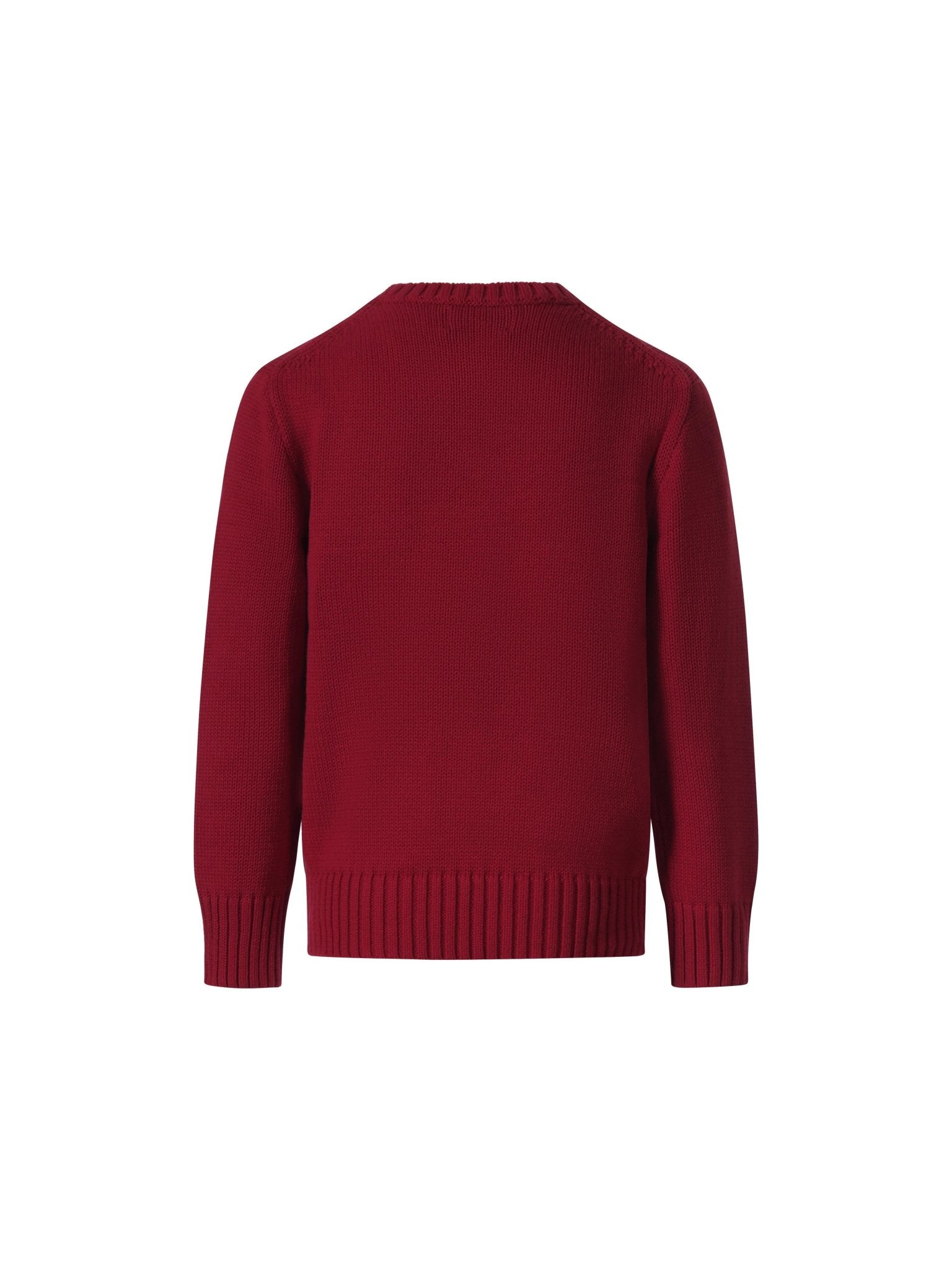 Maglione per bambino Polo Ralph Lauren Kids rosso con stampa grafica sul davanti - Rubino Kids