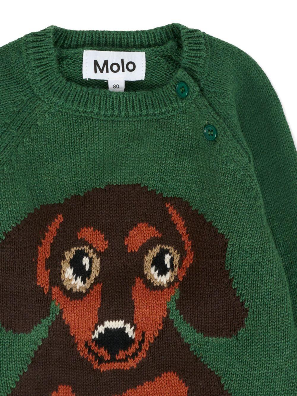 Maglione per neonato Molo verde con bassotto ricamato - Rubino Kids