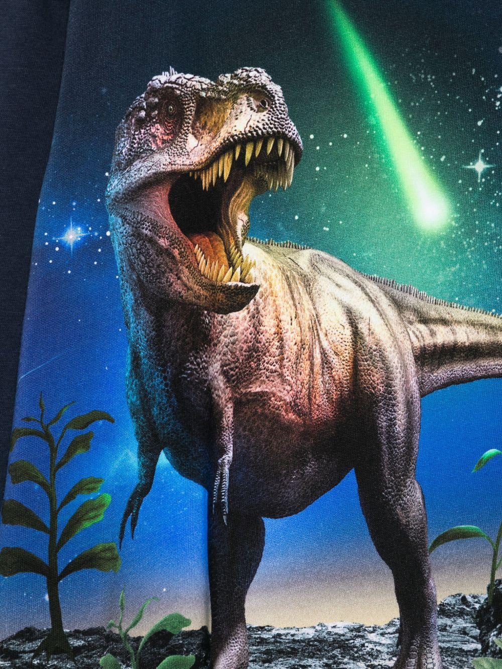 T-shirt per bambino Molo blu con stampa dinosauro - Rubino Kids