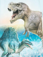 T-shirt per bambino Molo Rame azzurro con stampa grafica - Rubino Kids