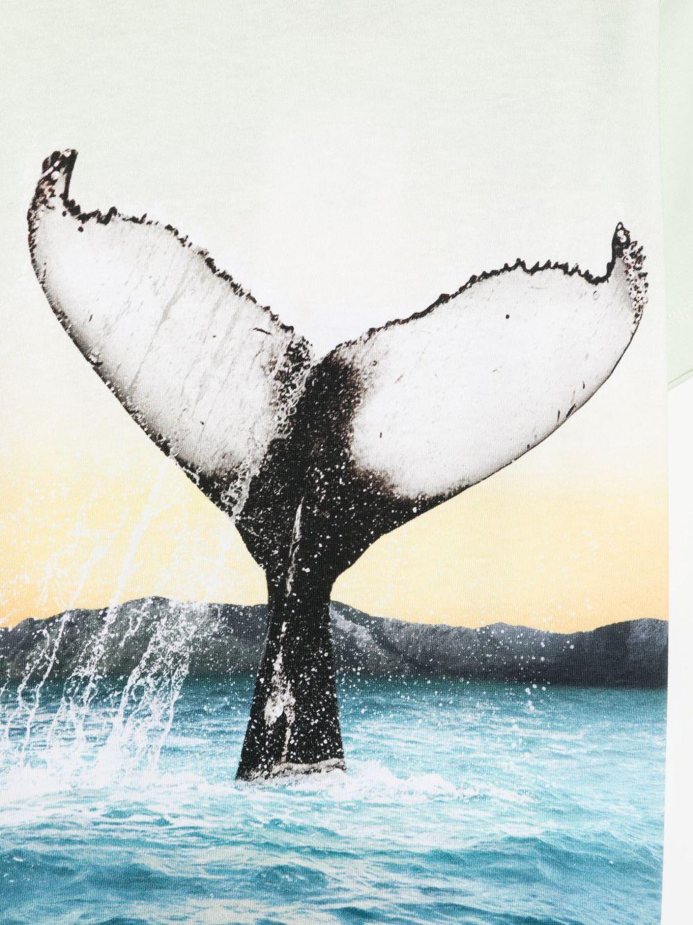 T-shirt per bambino Molo Rame verde con stampa grafica - Rubino Kids