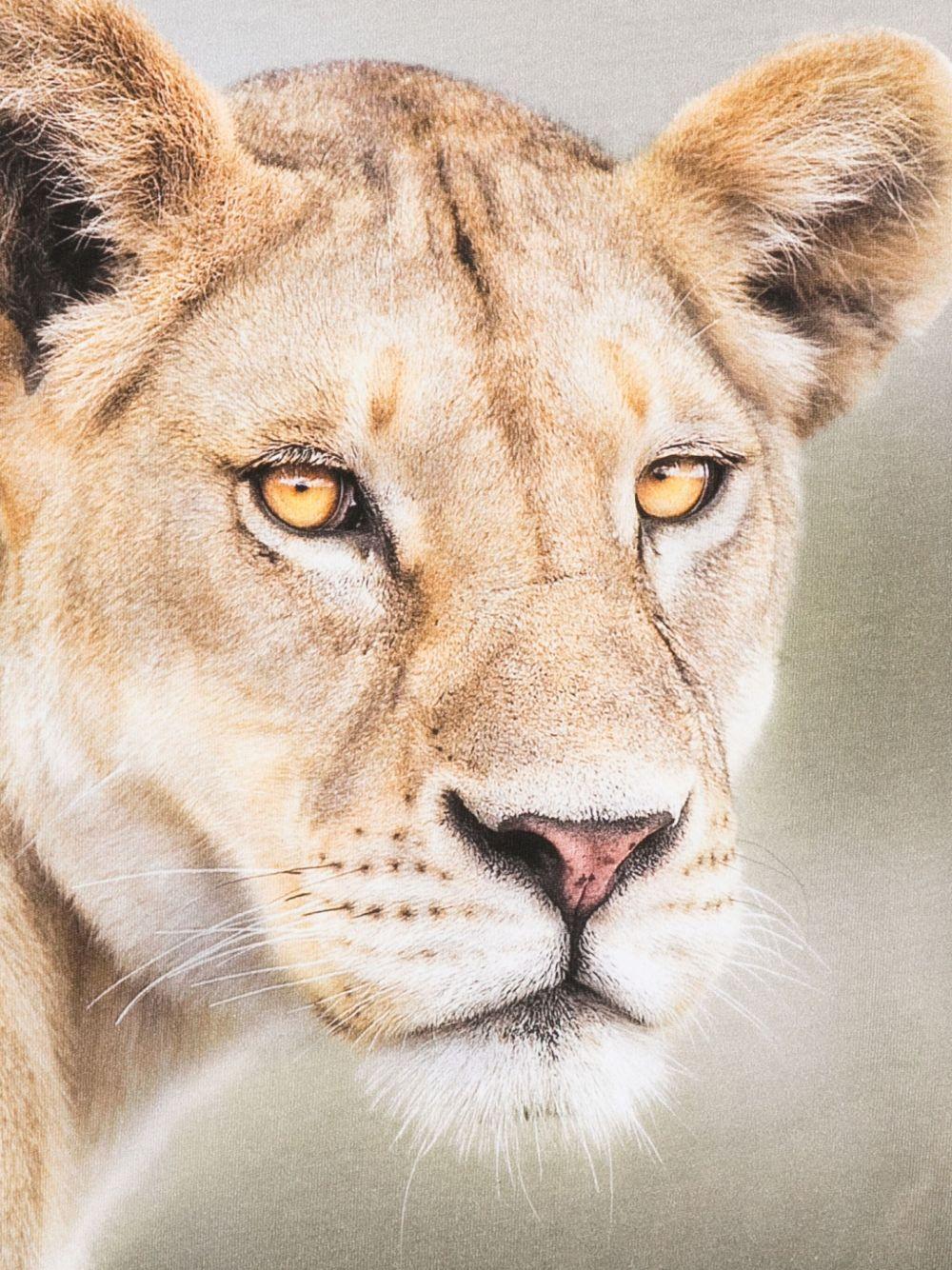 T-shirt per bambino Molo verde con stampa leone - Rubino Kids